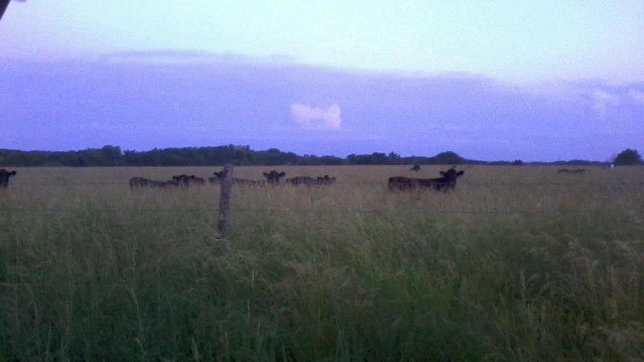 Photo of Others in Centerville