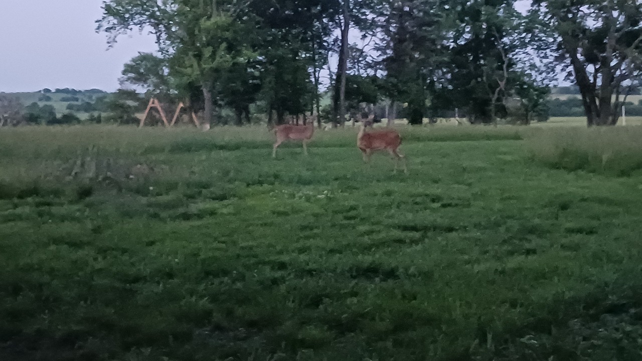 Photo of Others in Centerville