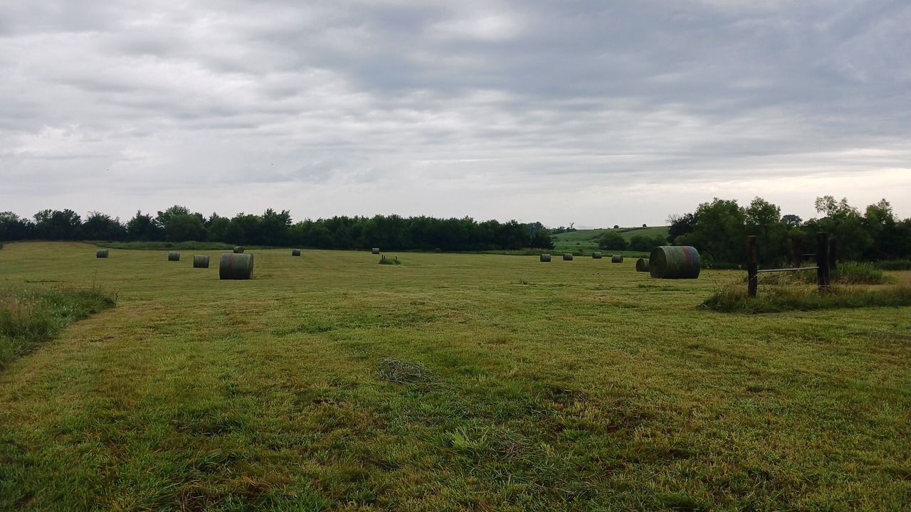 Photo of Others in Centerville
