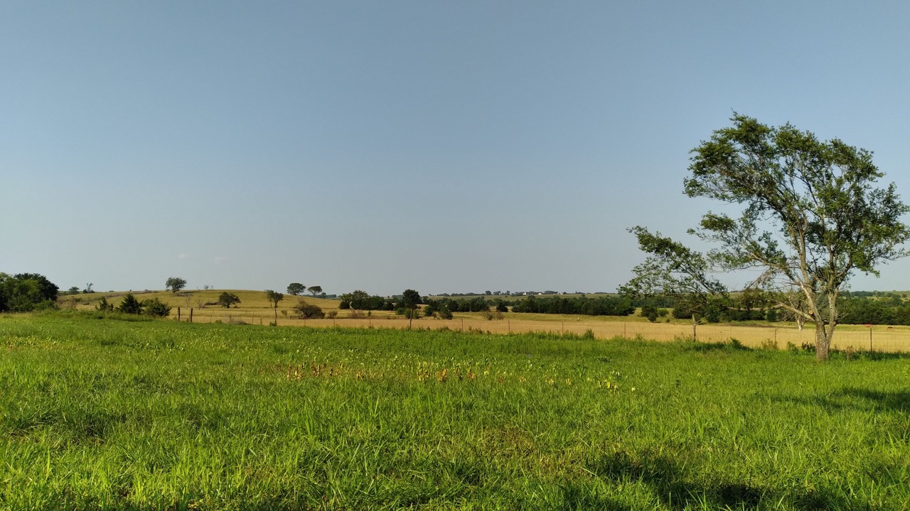 Photo of Others in Centerville