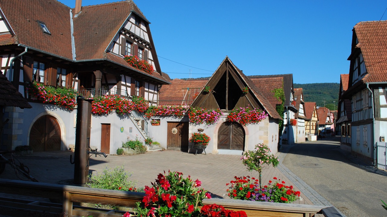 Photo of Outdoor in Cleebourg