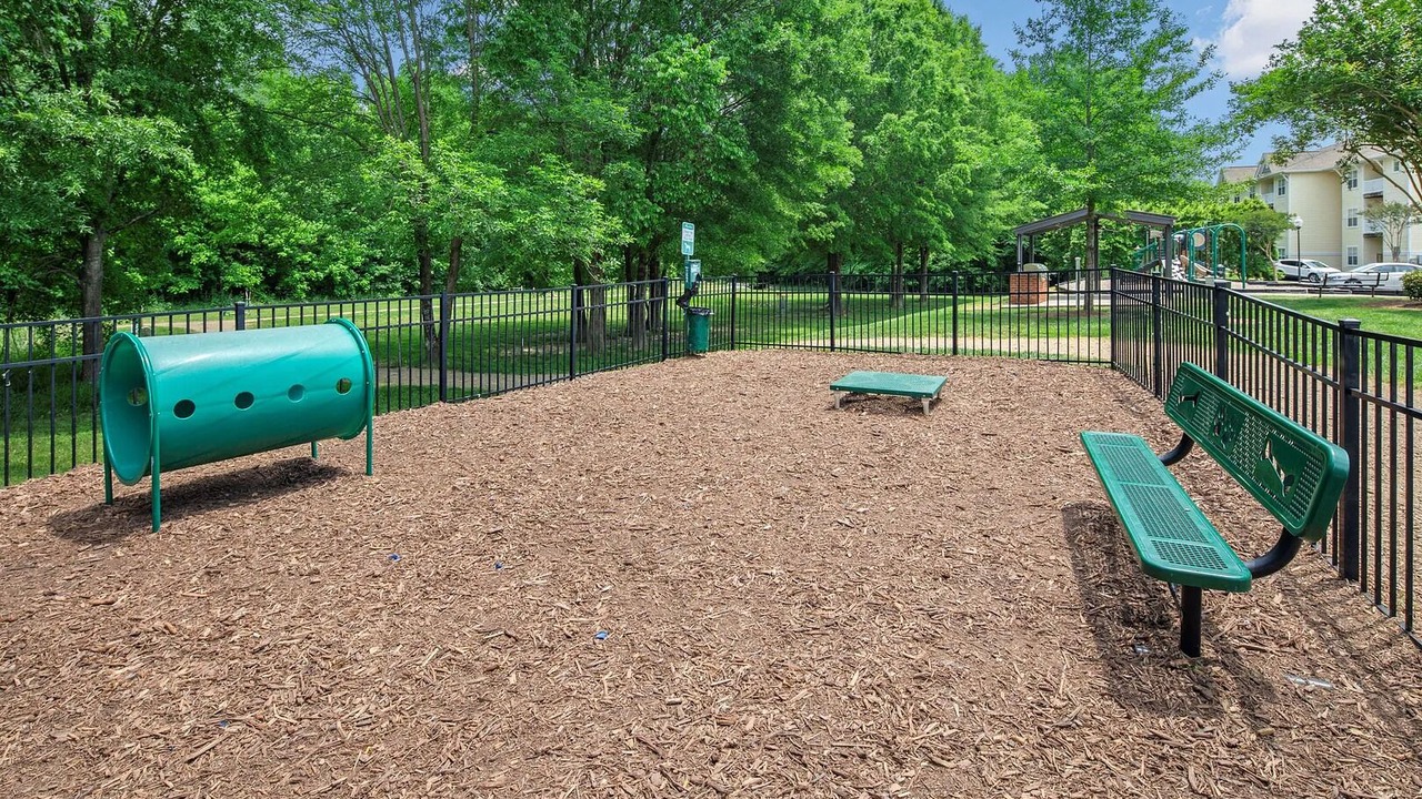 Photo of Outdoor in Indian Trail