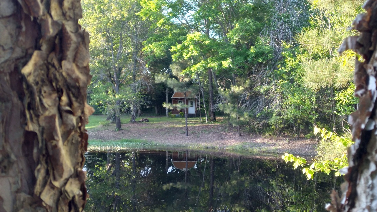 Photo of Others in Marietta