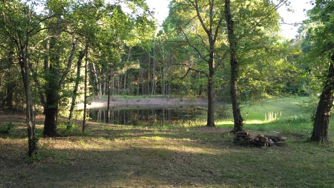 Photo of Outdoor in Marietta