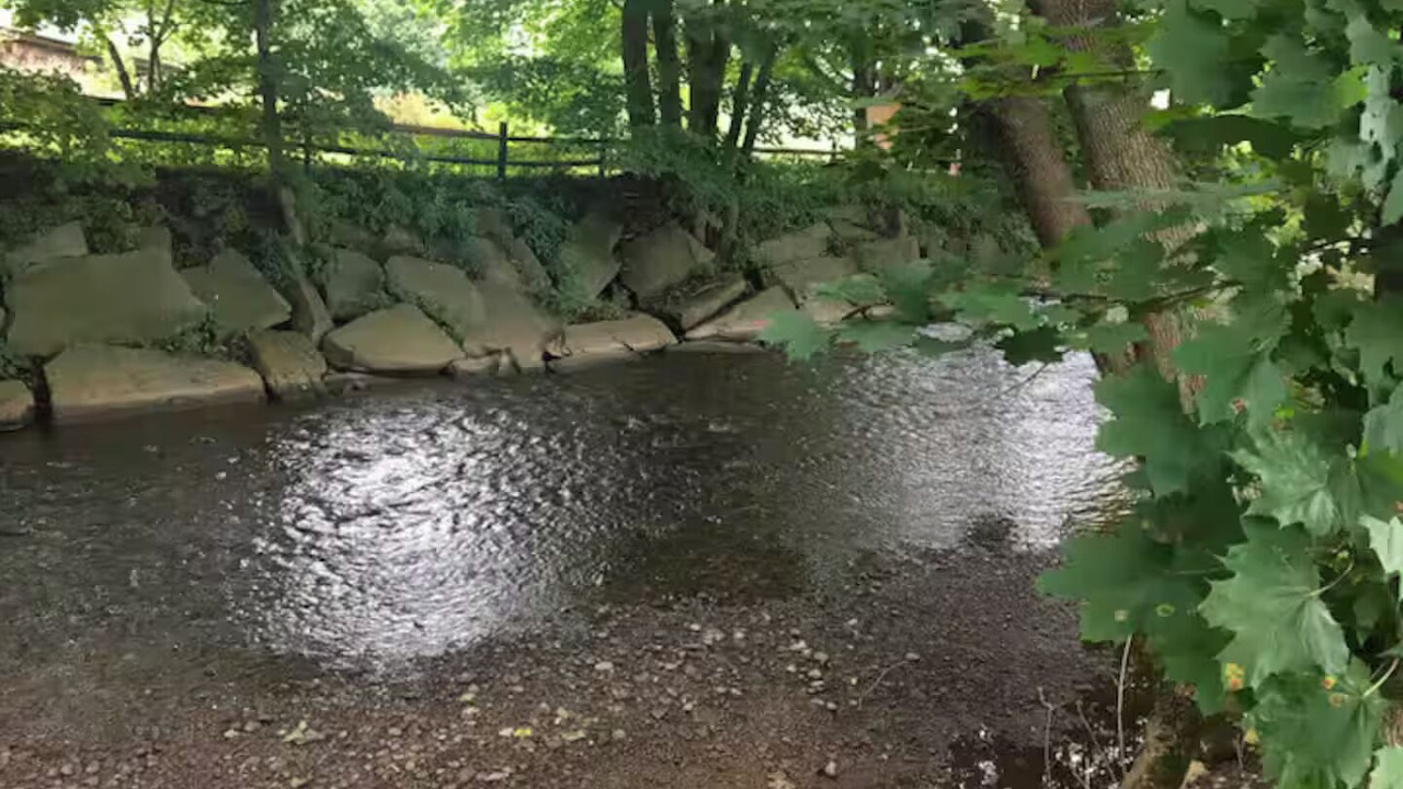 Photo of Outdoor in Otego