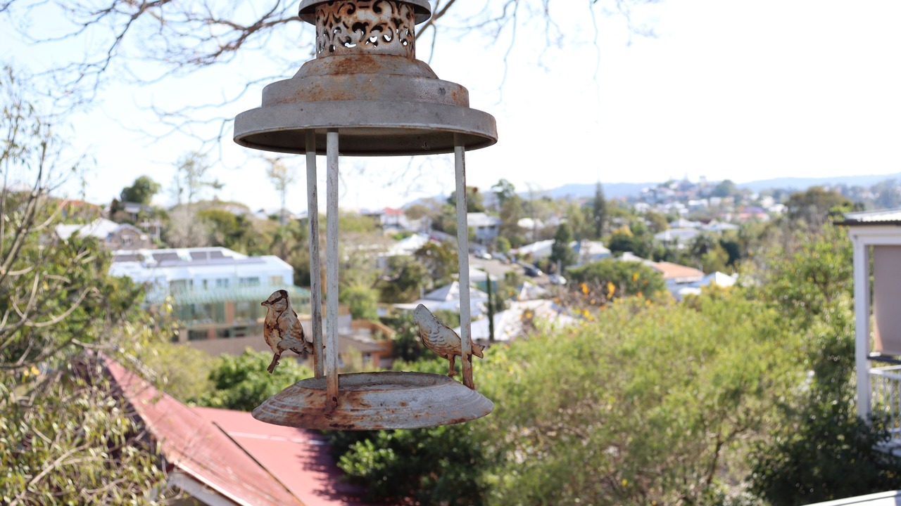 Photo of Others in Red Hill