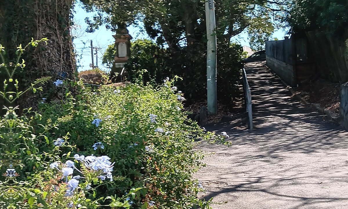 Photo of Outdoor in Red Hill