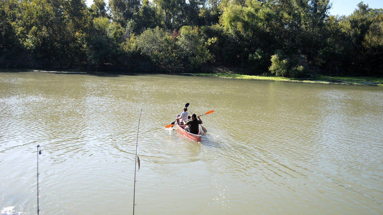 Photo of Others in Bastrop