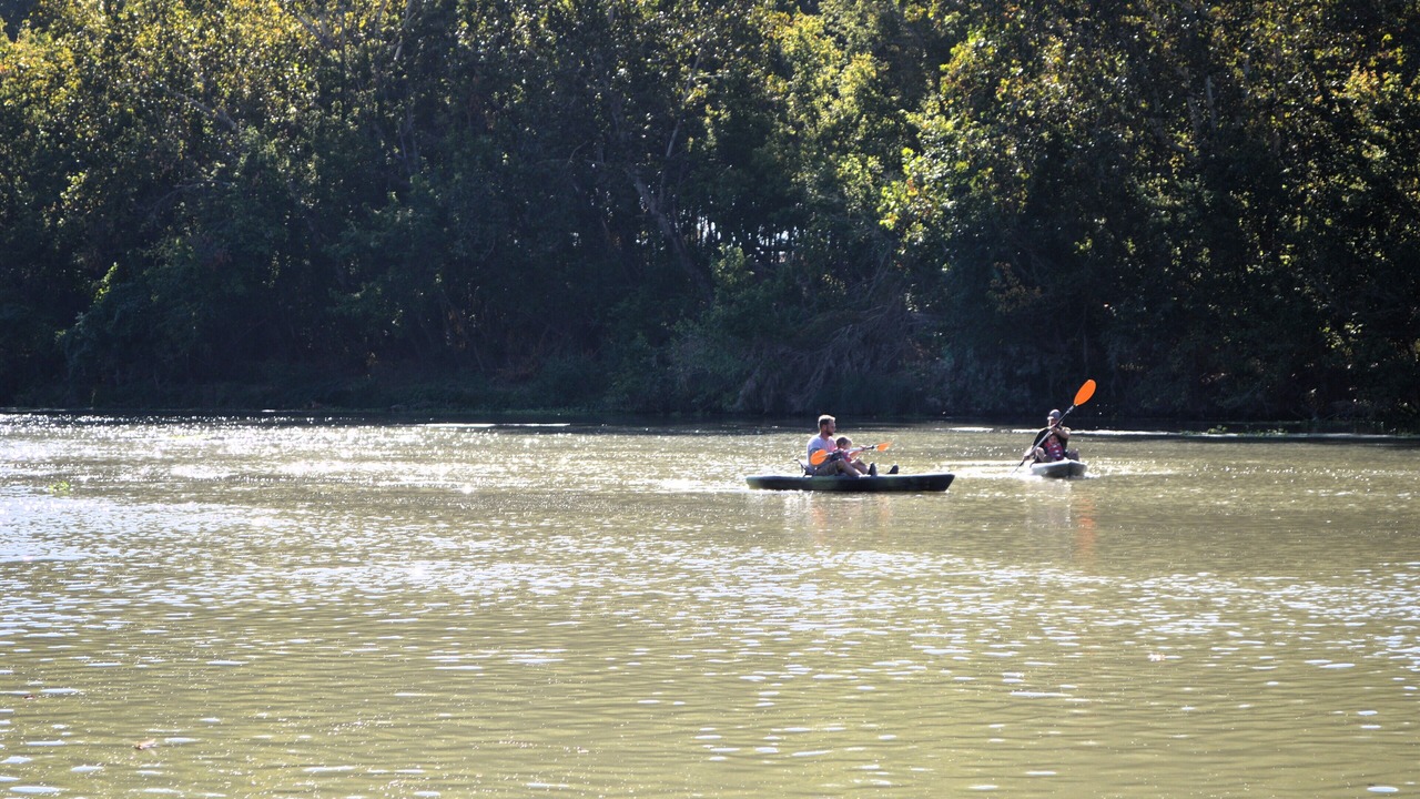 Photo of Others in Bastrop