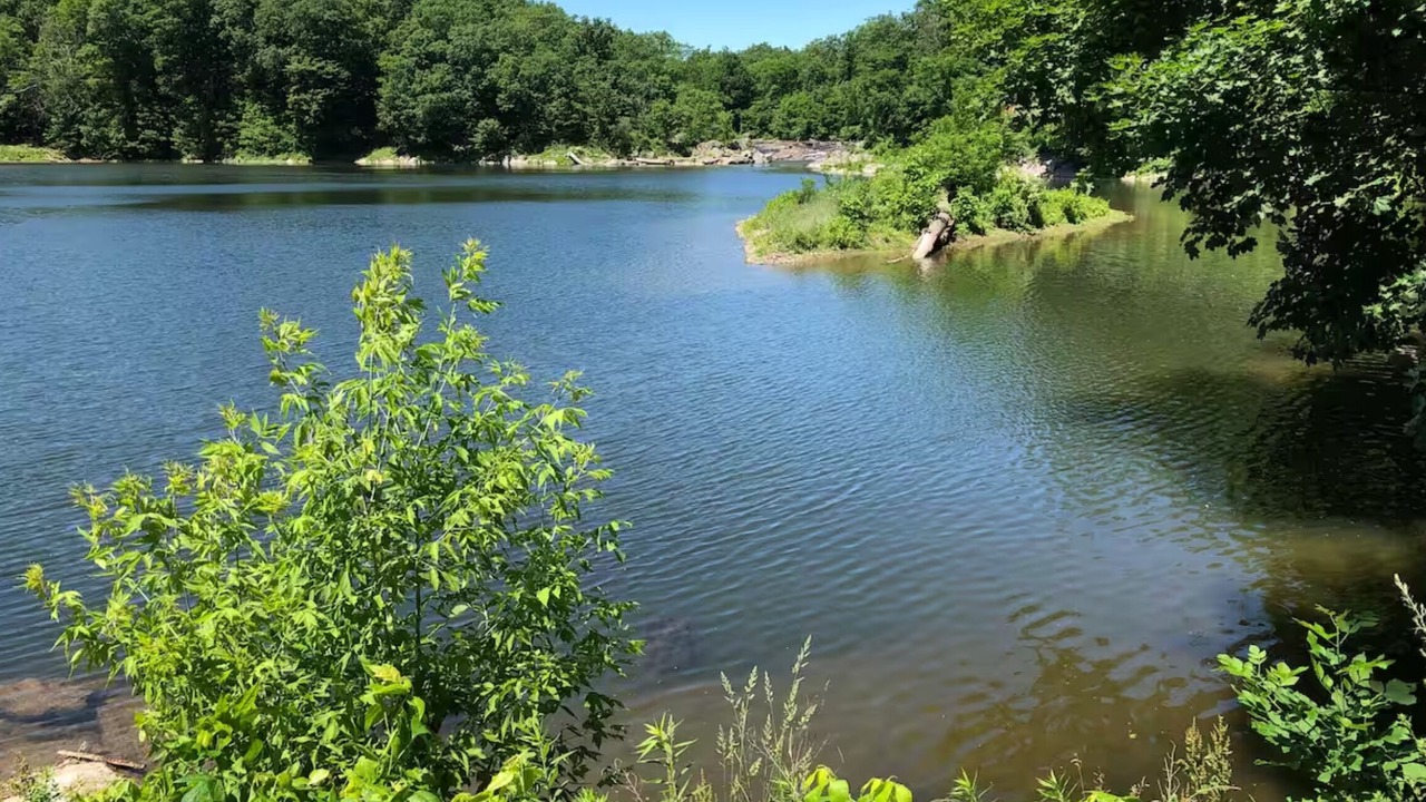 Photo of Others in Catskill