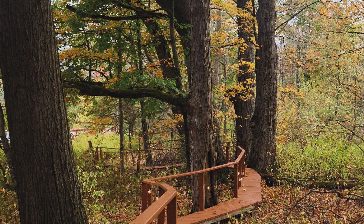 Photo of Outdoor in Mount Upton