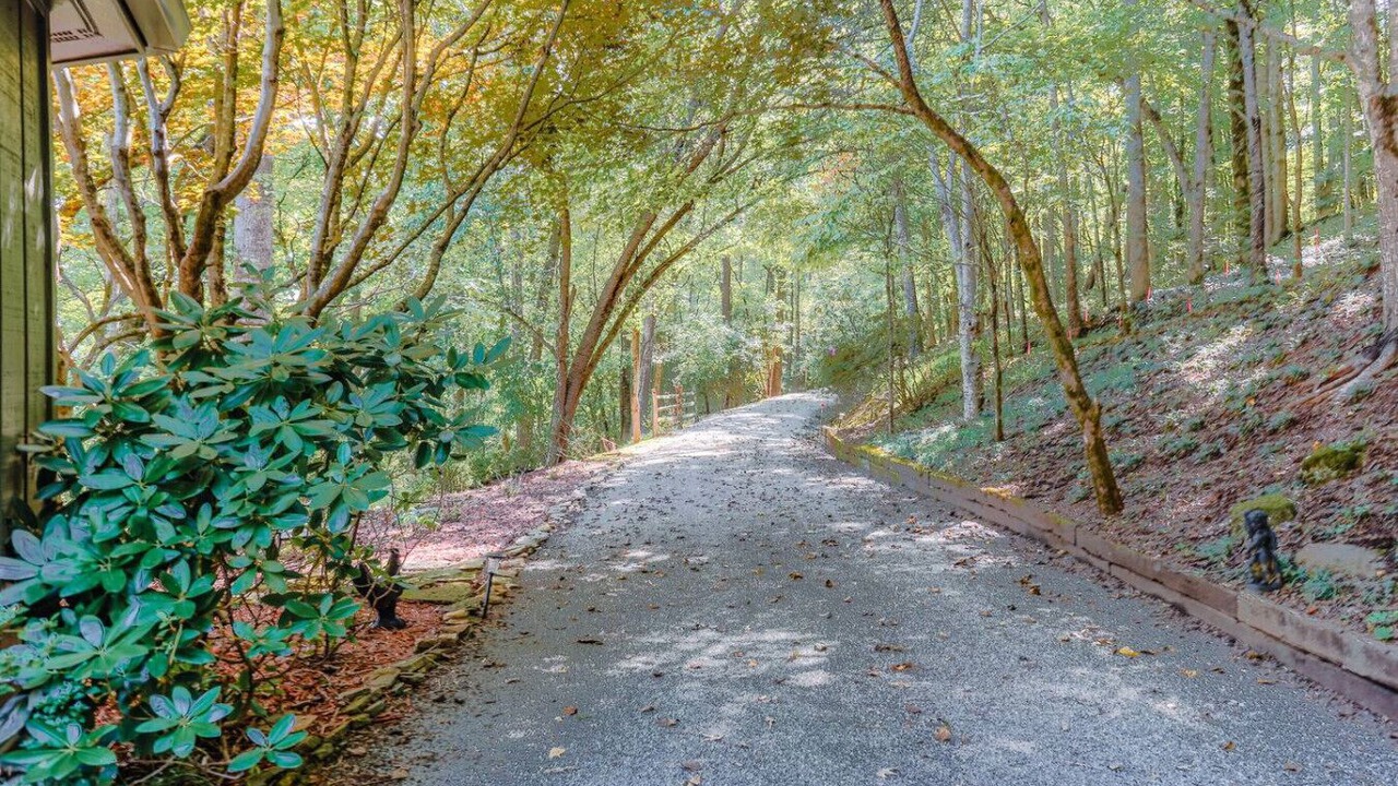 Photo of Others in Young Harris