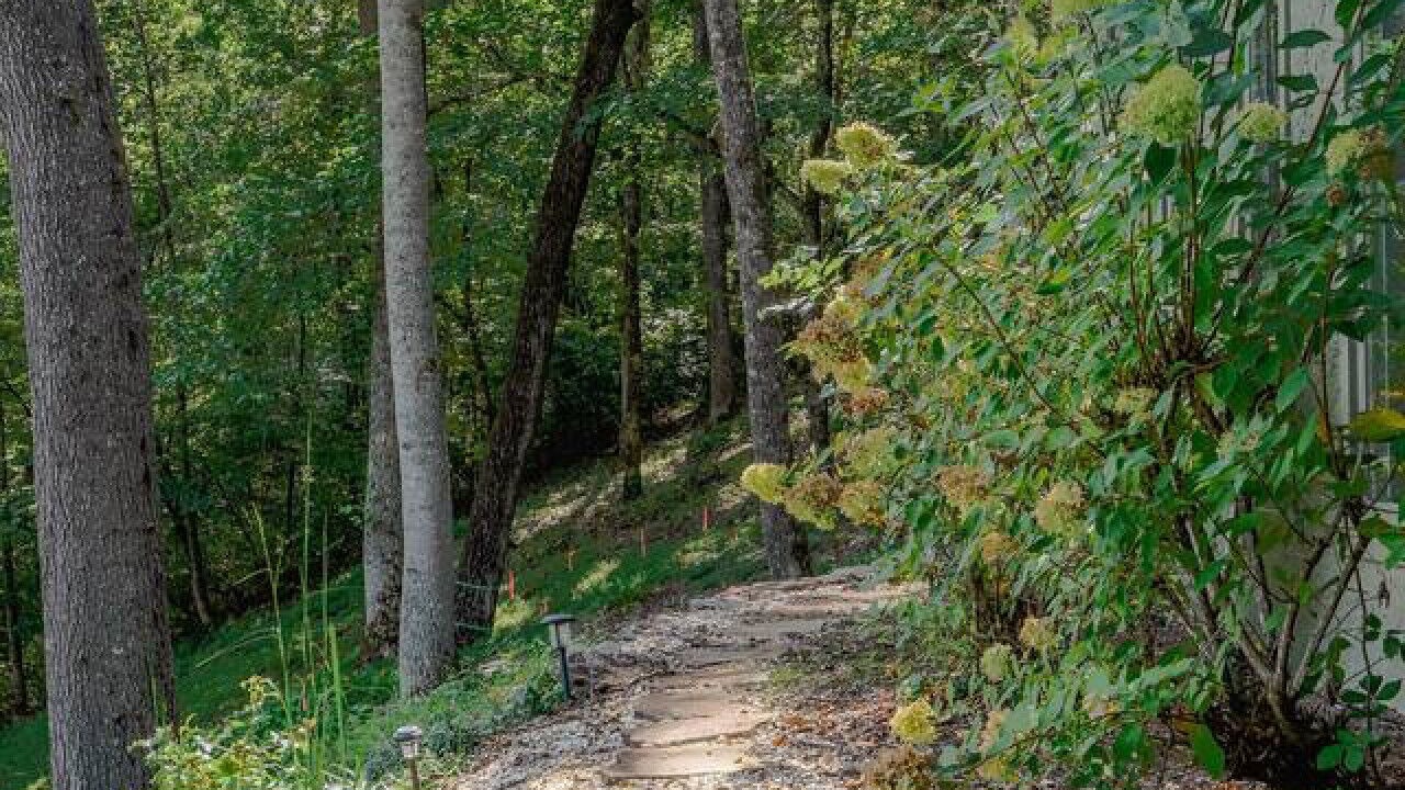 Photo of Others in Young Harris