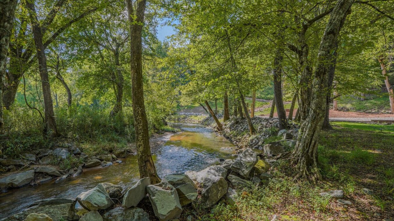 Photo of Outdoor in Young Harris