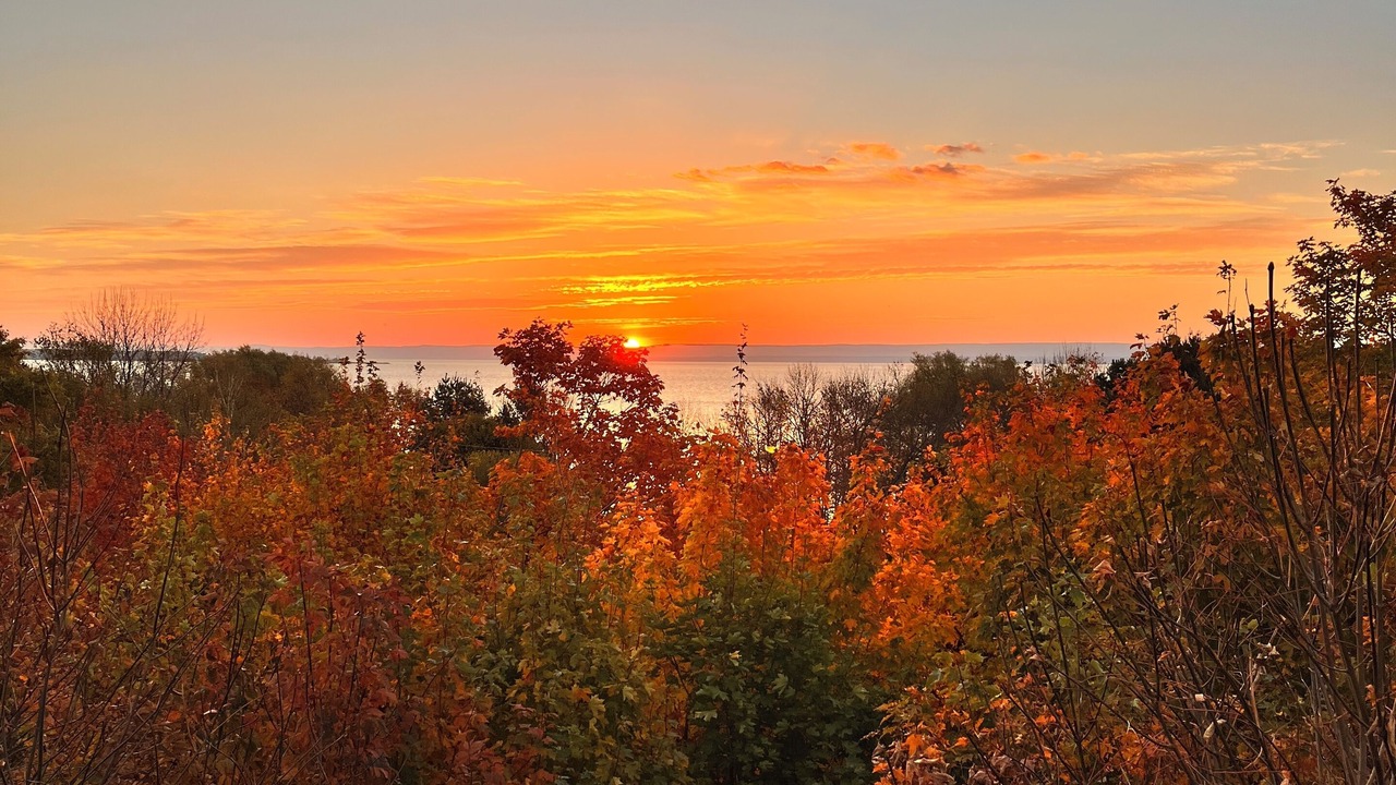 Photo of Others in St-Francois-de-l'Ile-d'Orleans
