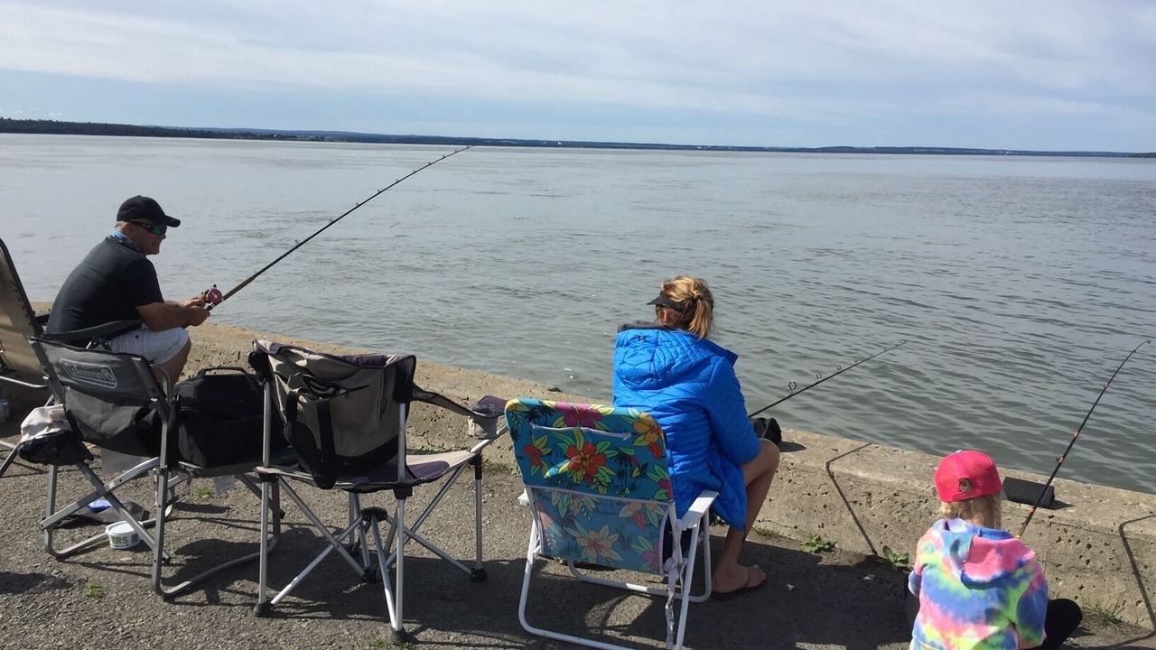 Photo of Others in St-Francois-de-l'Ile-d'Orleans