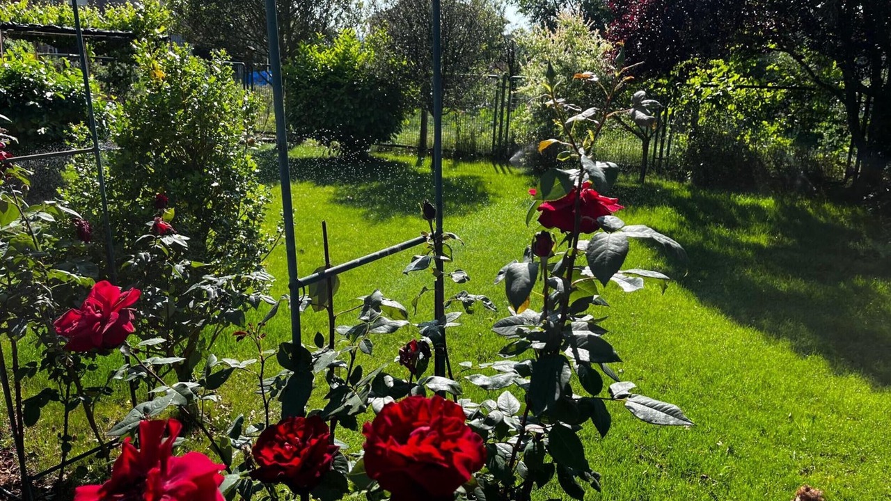Photo of Outdoor in La Revilla y Ahedo
