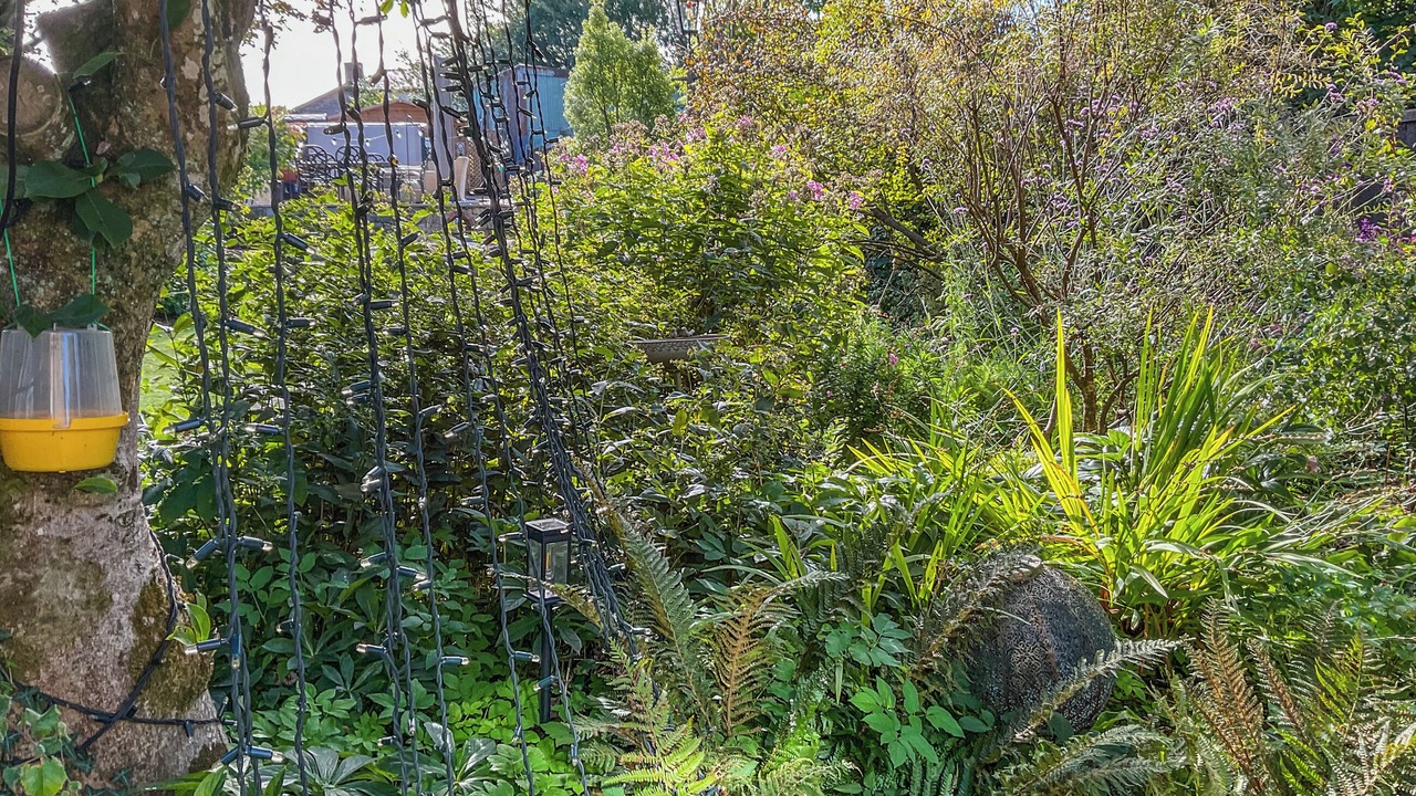 Photo of Outdoor in Coleford