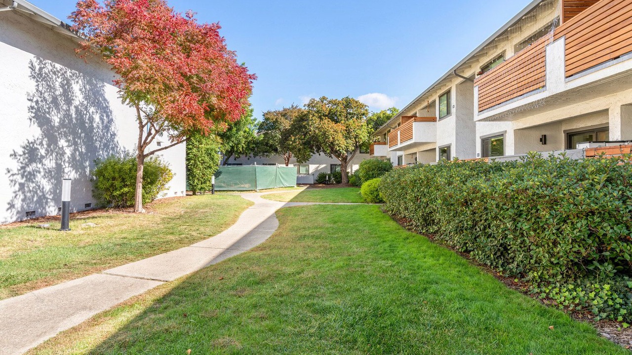 Photo of Outdoor in Cupertino