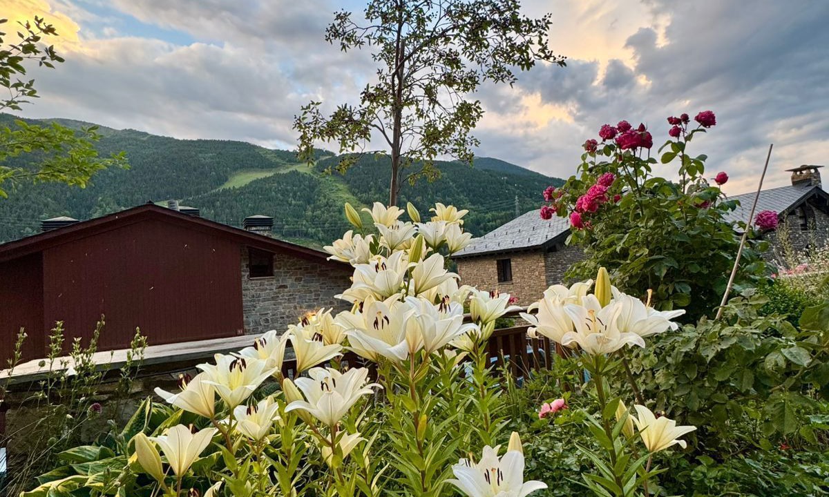 Photo of Outdoor in El Tarter