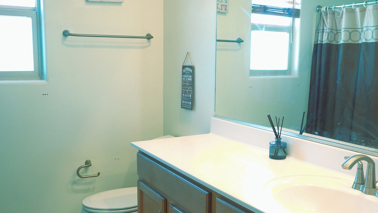 Photo of Bathroom in Coyote Corridor