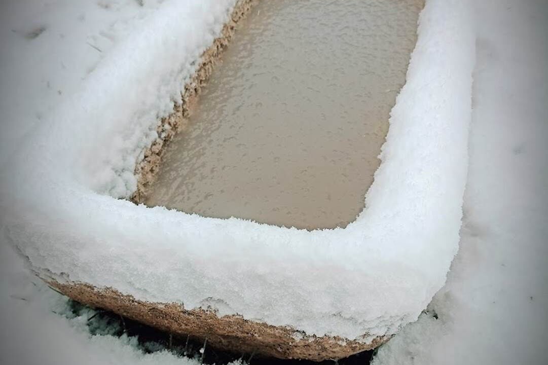 Photo of Others in Rosay