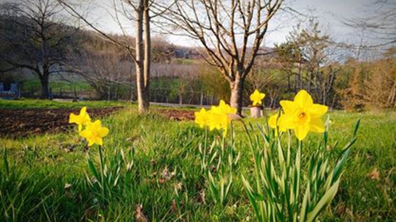 Photo of Others in Rosay