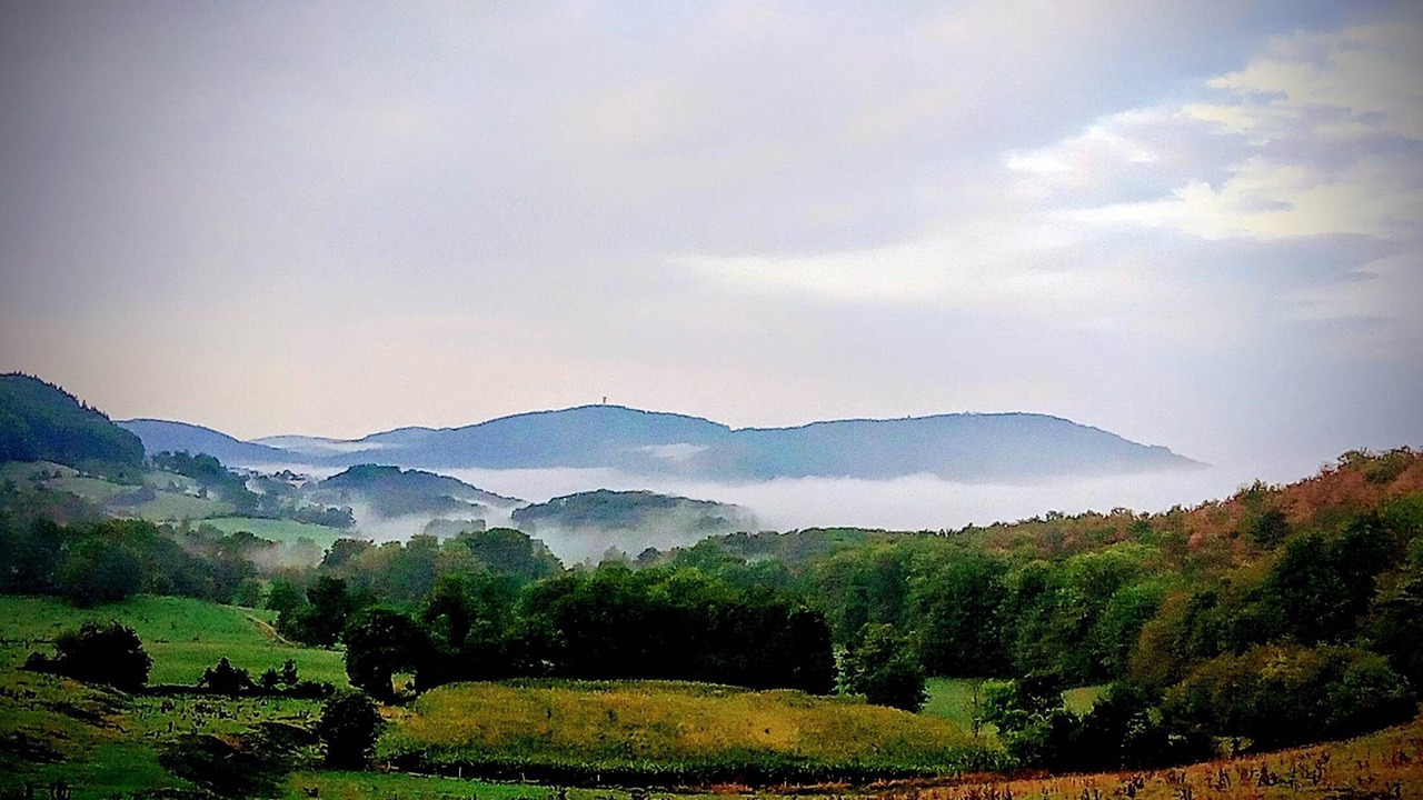 Photo of Others in Rosay