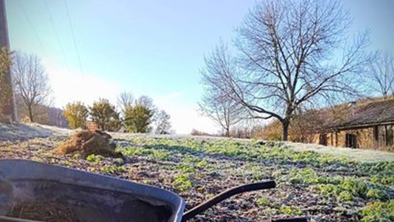 Photo of Others in Rosay