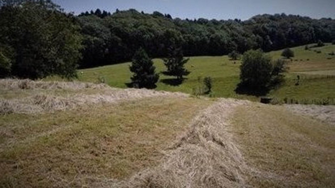 Photo of Others in Rosay