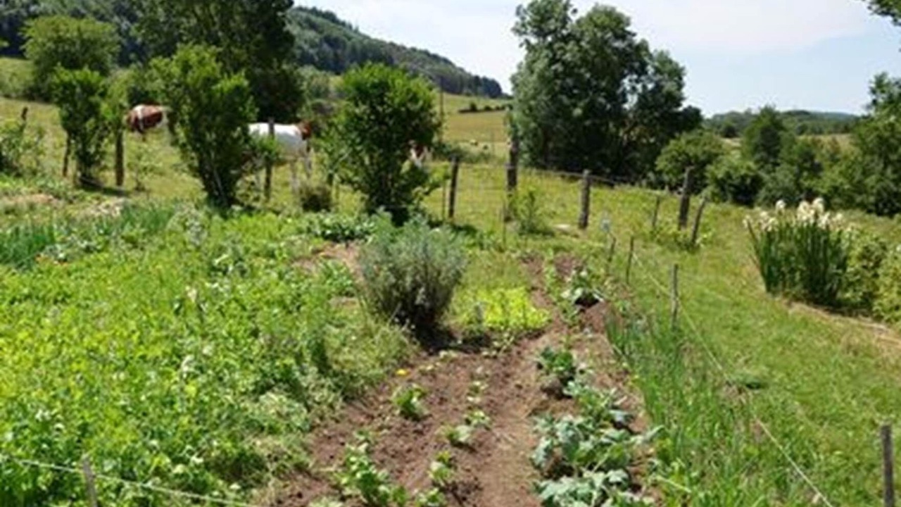 Photo of Others in Rosay