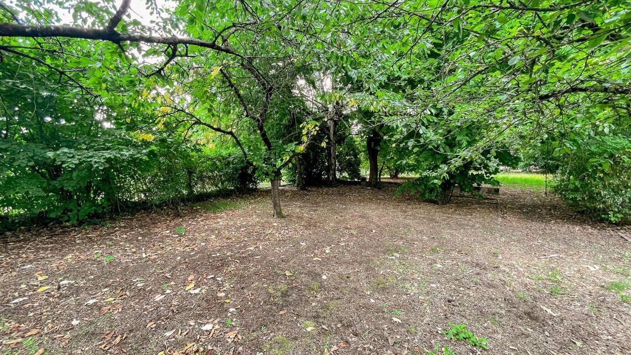 Photo of Outdoor in Poce-sur-Cisse