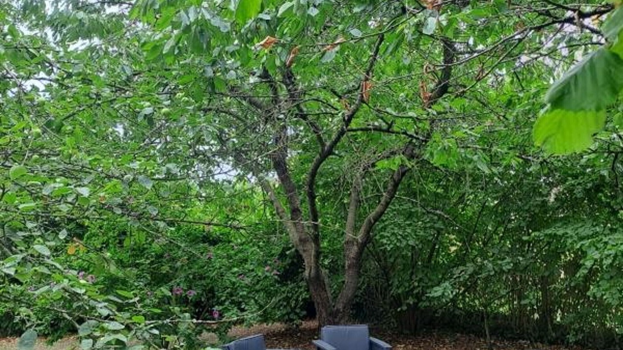 Photo of Outdoor in Poce-sur-Cisse