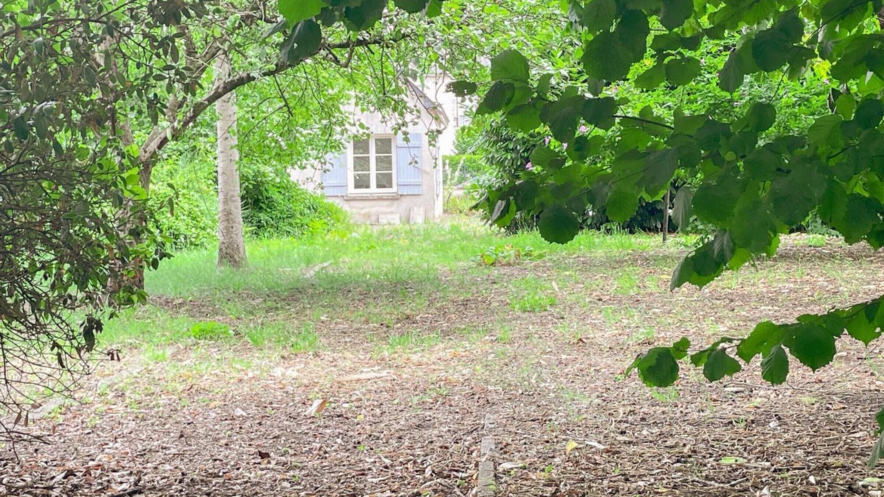 Photo of Outdoor in Poce-sur-Cisse