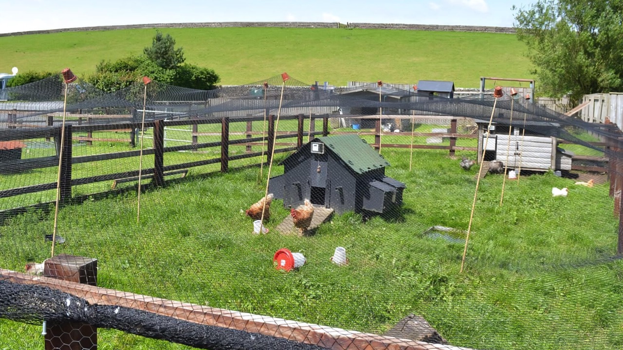 Photo of Others in Haltwhistle