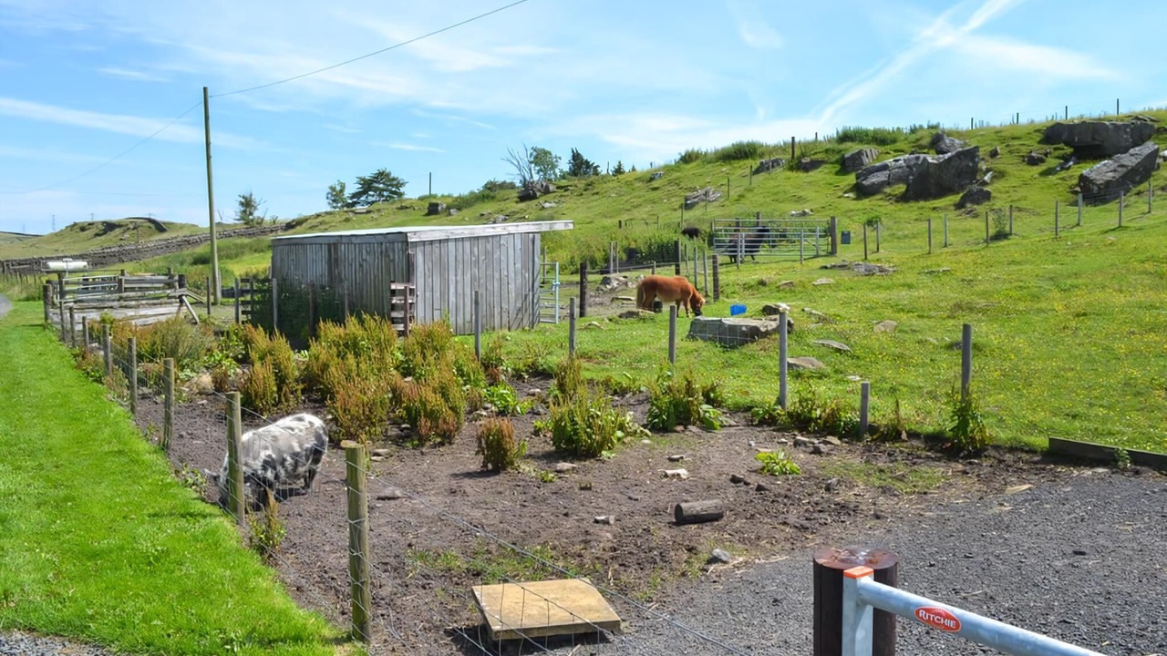 Photo of Others in Haltwhistle