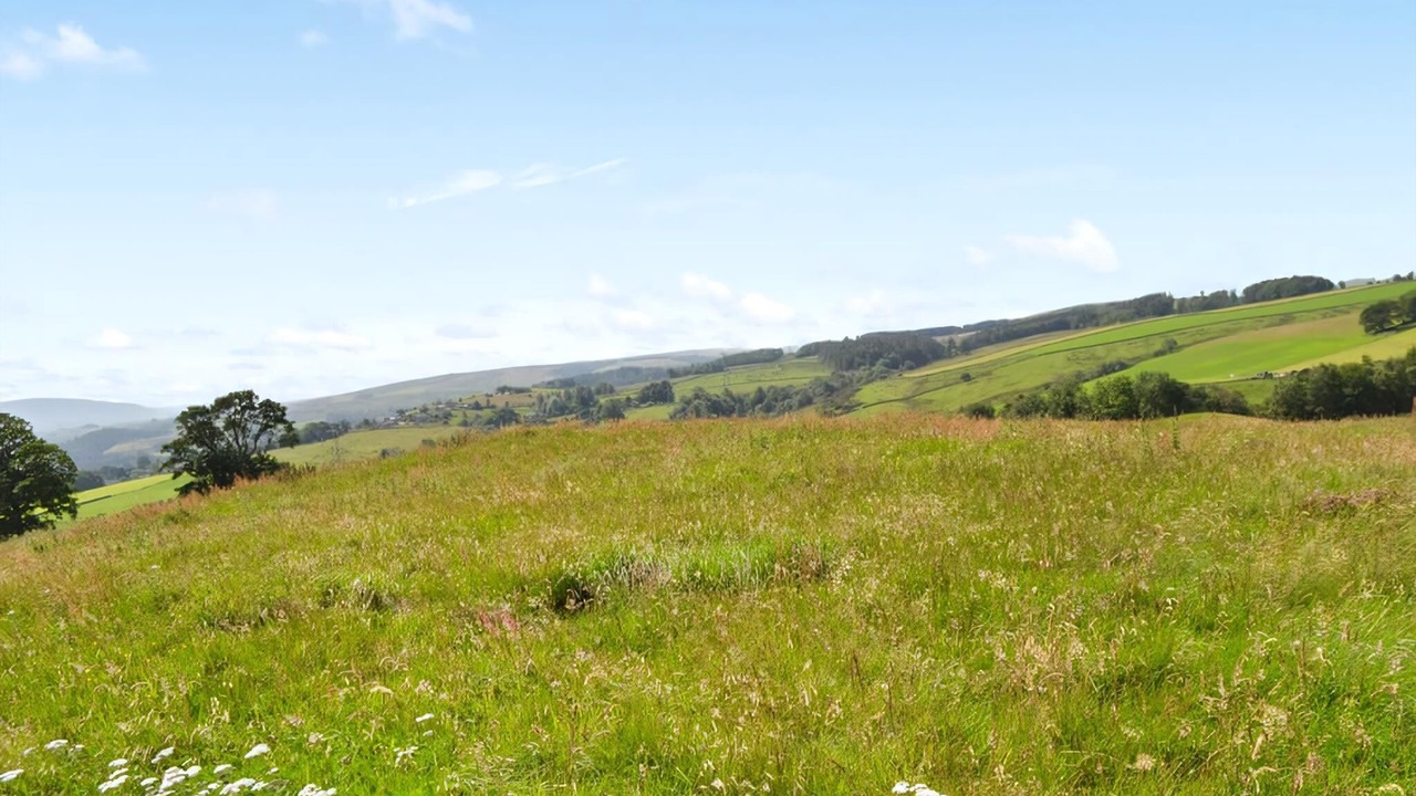 Photo of Others in Haltwhistle