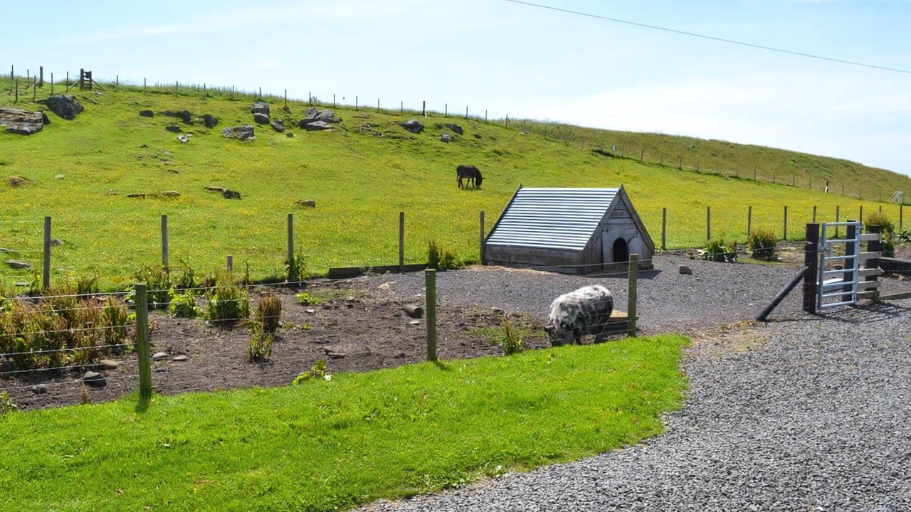 Photo of Others in Haltwhistle