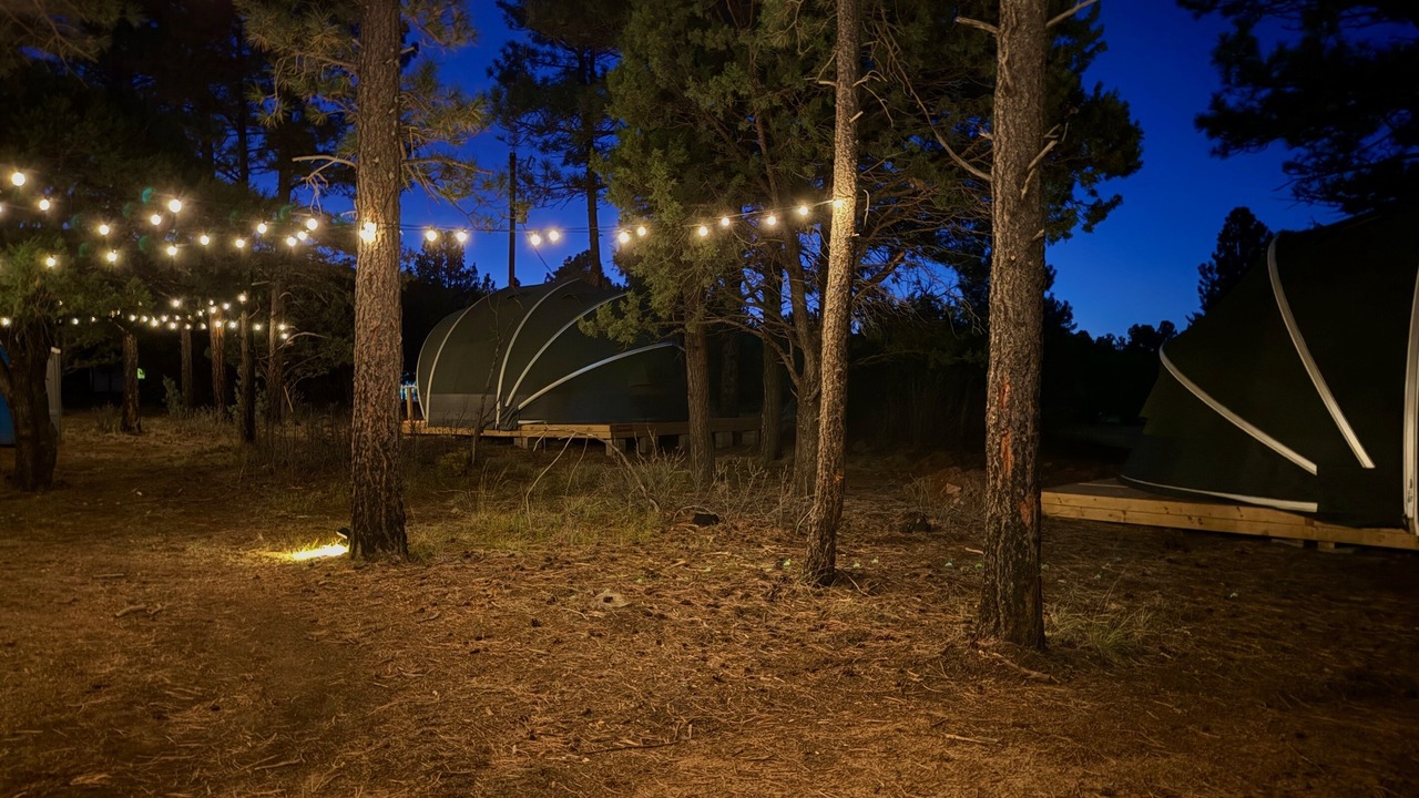 Photo of Outdoor in McIntosh