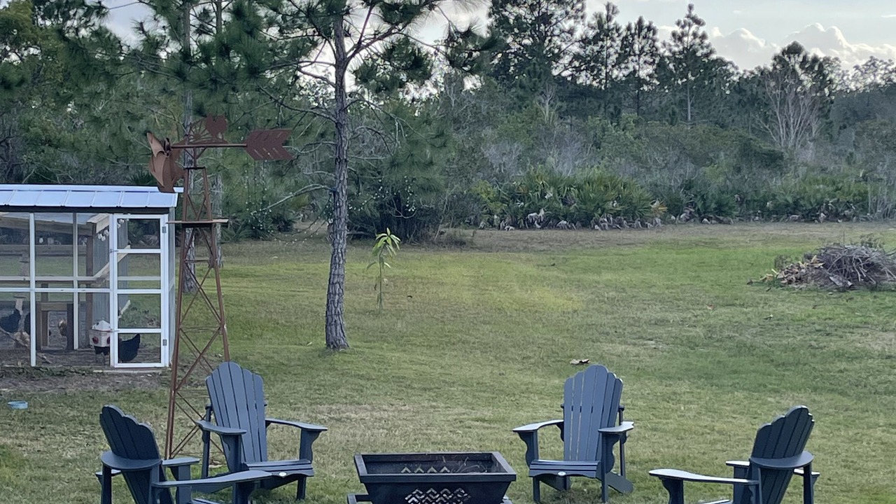 Photo of Outdoor in Braden River