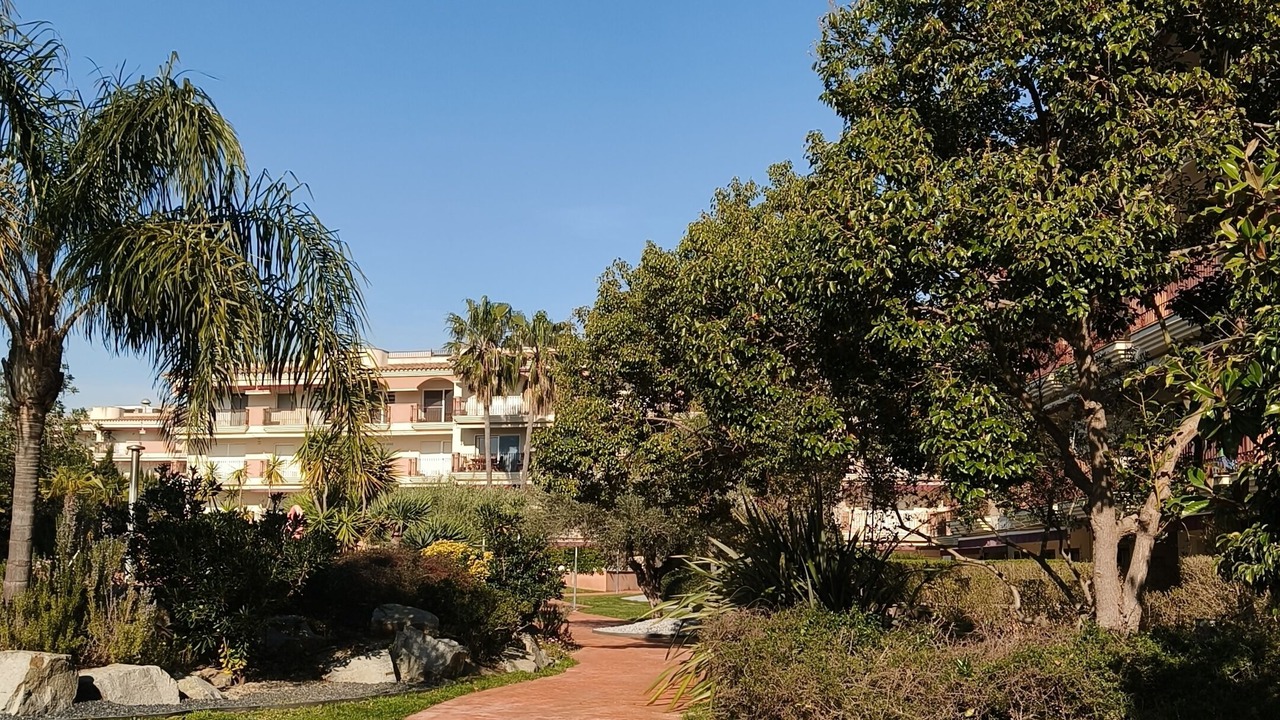 Photo of Outdoor in Sant Carles de la Rapita
