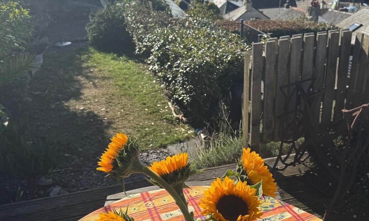 Photo of Outdoor in Cawsand