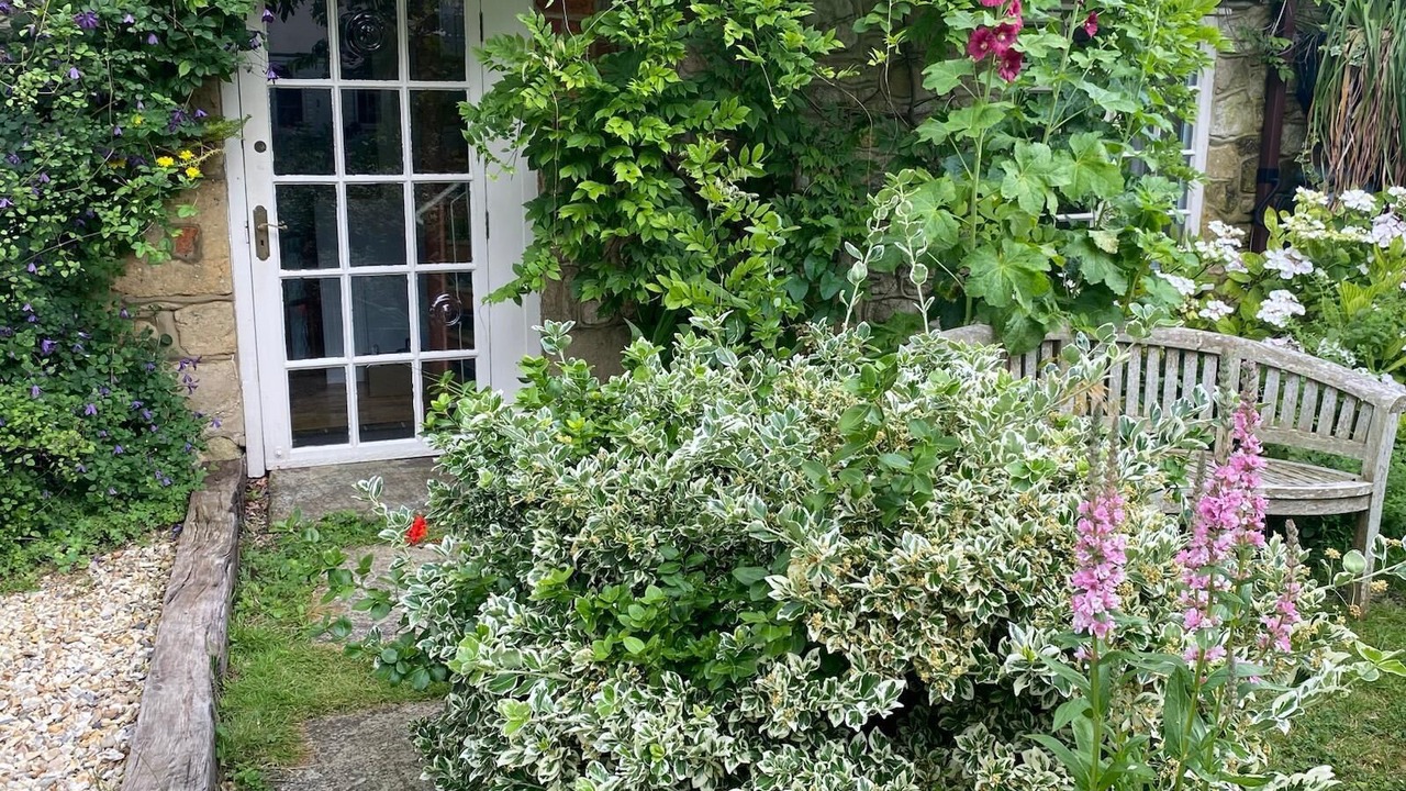 Photo of Outdoor in Wheatley