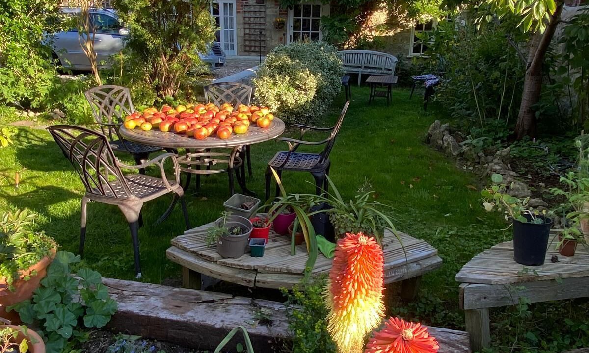 Photo of Outdoor in Wheatley