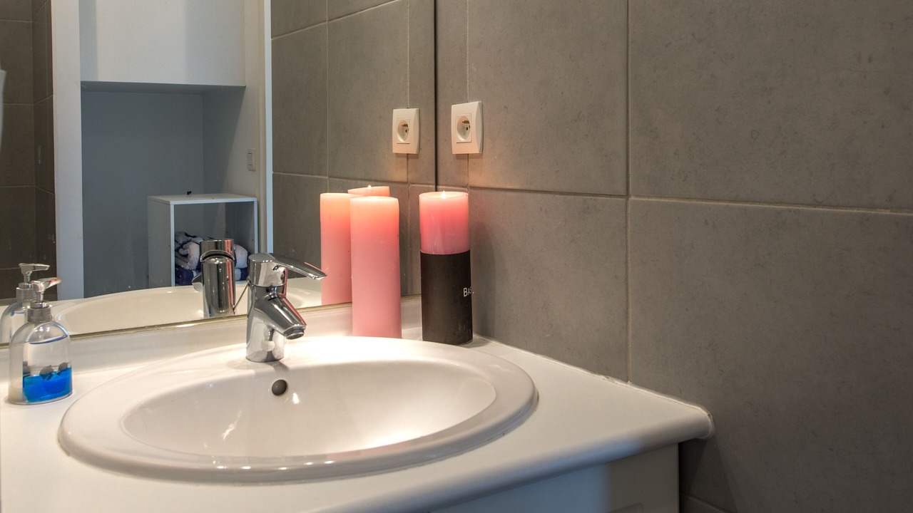 Photo of Bathroom in Duingt