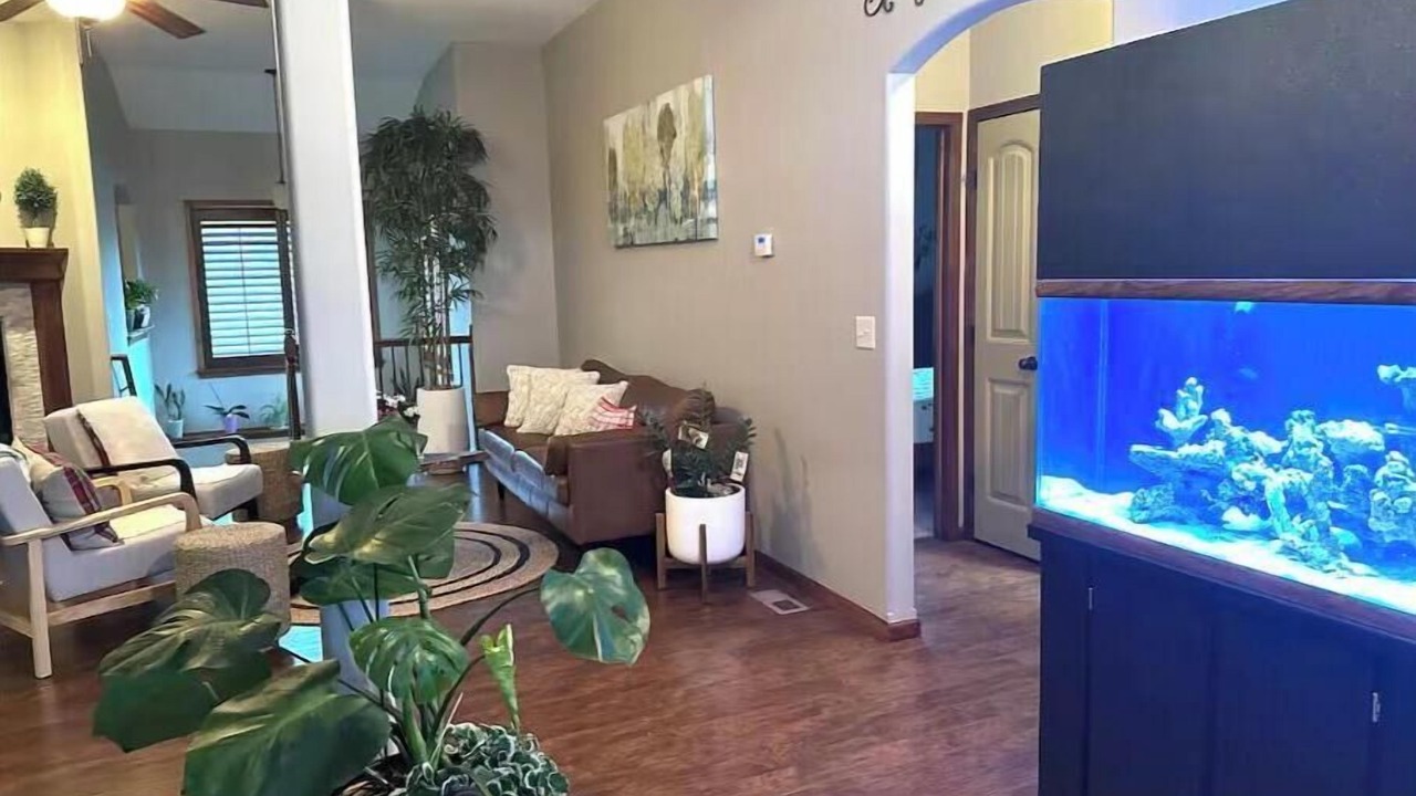 Photo of Livingroom in Derby