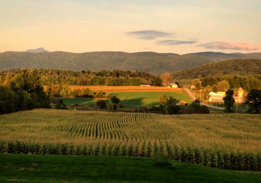 Photo of Others in Monkton