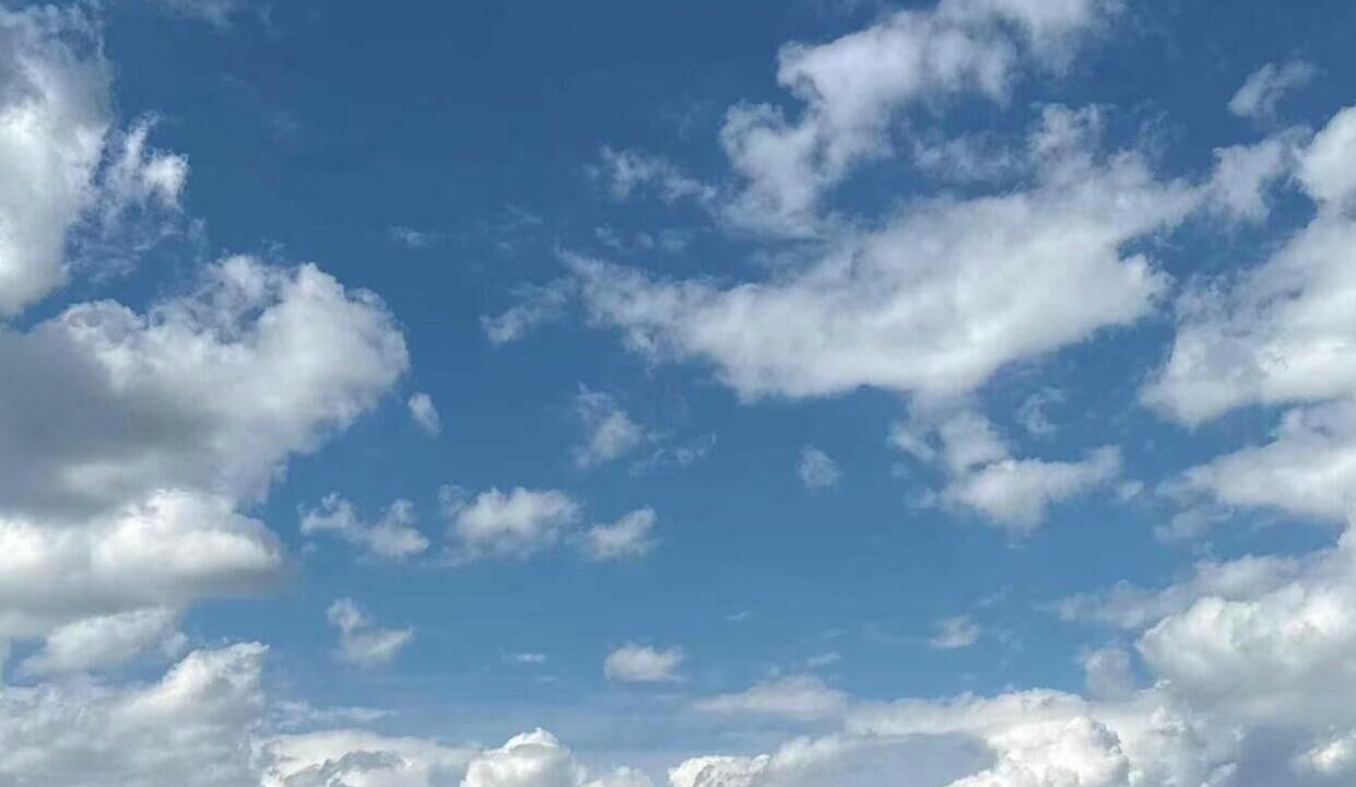 Photo of Others in Texas City