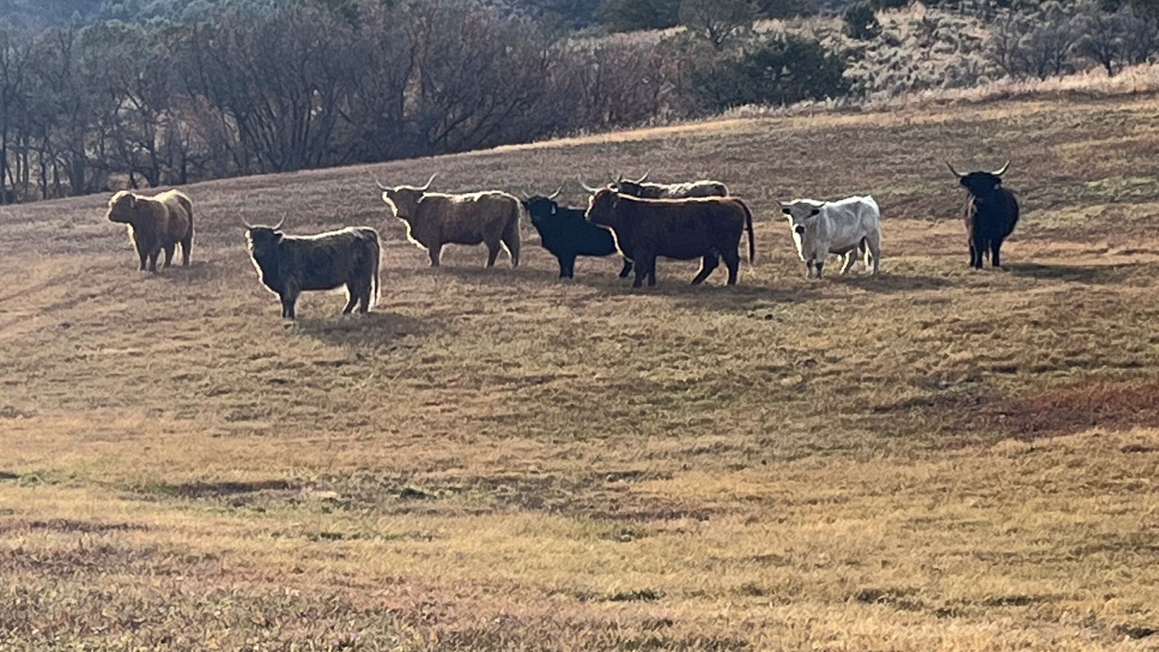 Photo of Others in Collbran