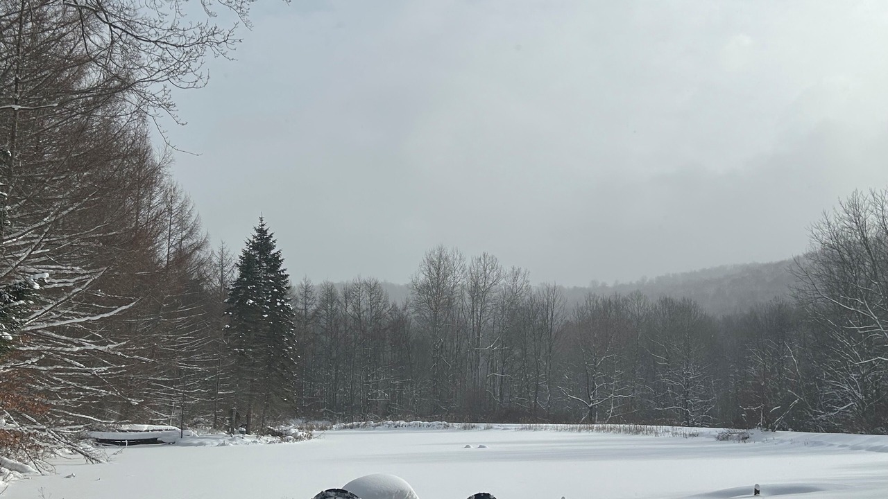 Photo of Others in Great Valley